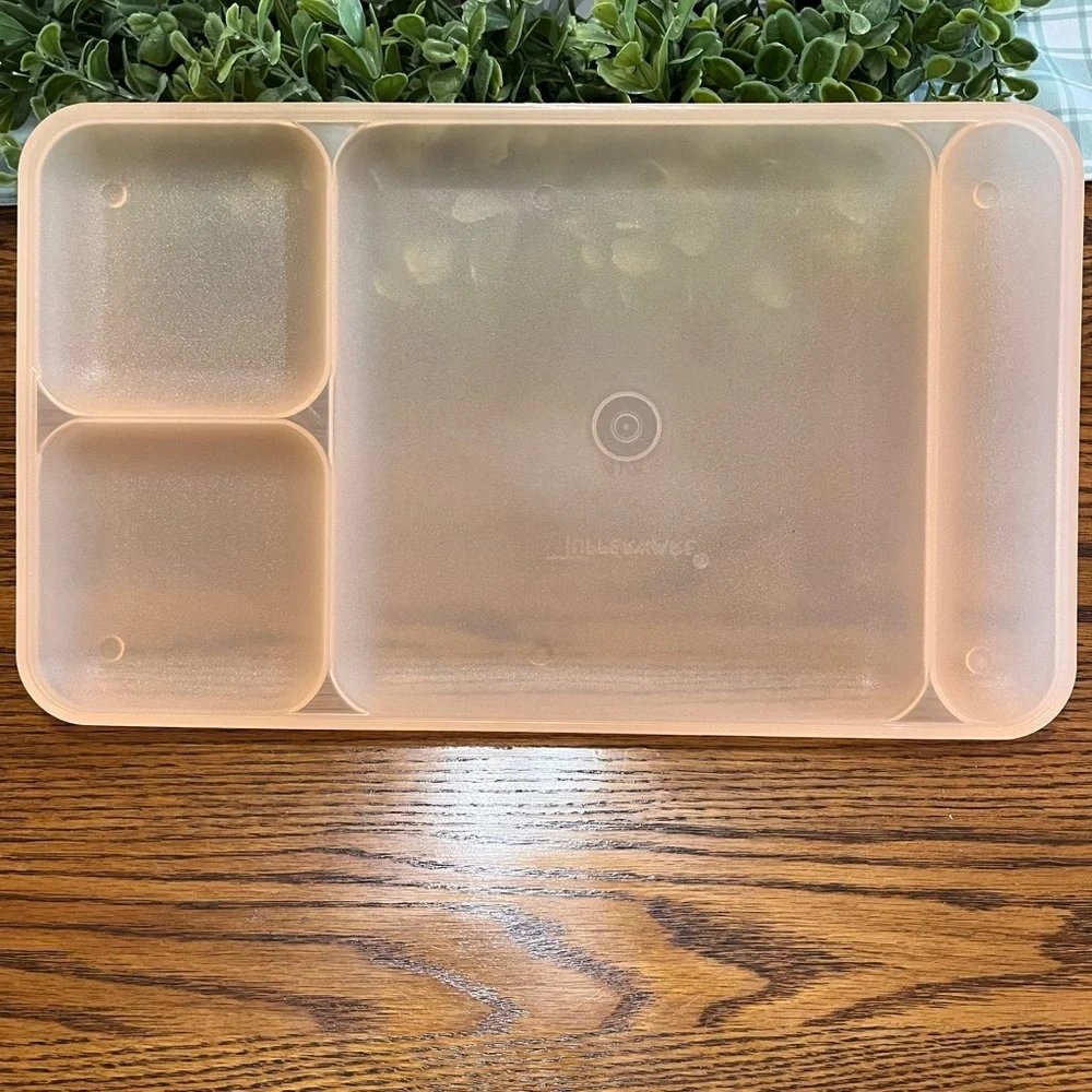 Tupperware Classic Divided Picnic Camping‎ Trays Set of 4 Multicolor #1535